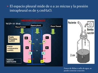  El espacio pleural mide de 0 a 20 micras y la presión
intrapleural es de 5 cmH2O.
Frasco de Bülau o sello de agua, se
puede conectar a succión.
 