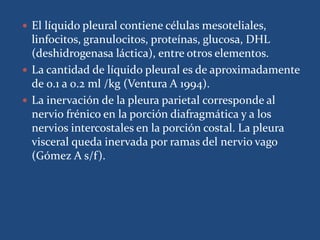  El líquido pleural contiene células mesoteliales,
linfocitos, granulocitos, proteínas, glucosa, DHL
(deshidrogenasa láctica), entre otros elementos.
 La cantidad de líquido pleural es de aproximadamente
de 0.1 a 0.2 ml /kg (Ventura A 1994).
 La inervación de la pleura parietal corresponde al
nervio frénico en la porción diafragmática y a los
nervios intercostales en la porción costal. La pleura
visceral queda inervada por ramas del nervio vago
(Gómez A s/f).
 