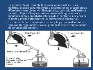  La presión pleural durante la respiración normal suele ser
negativa, es decir subatmosferica y esta presión no es igual en las
diferentes zonas pleurales (diafragmática, cervical, mediastinica
y costal). Es por ello que al colocar un sello de agua se busca
mantener la presión subatmosferica, de lo contrario si se abriera
el tórax a presión atmosférica los pulmones se colapsarían.
 La diferencia entre la presión alveolar y la pleural se denomina
“presión transpulmonar”, la cual permite la distención y aumento
de volumen del pulmón.
 