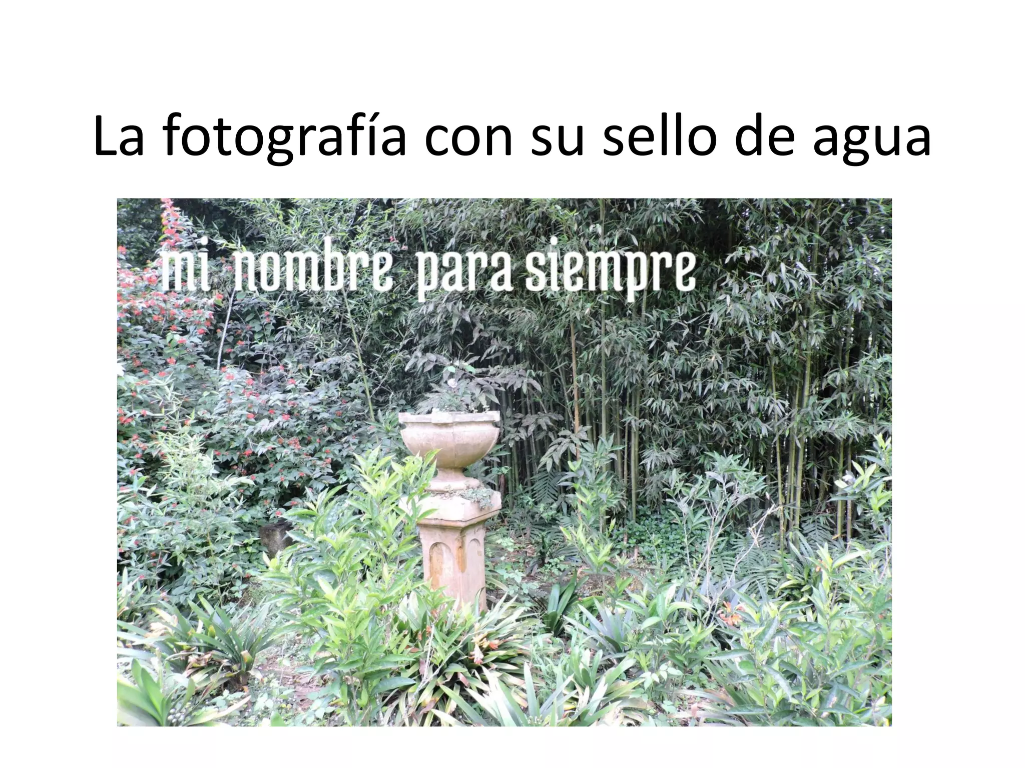 La fotografía con su sello de agua