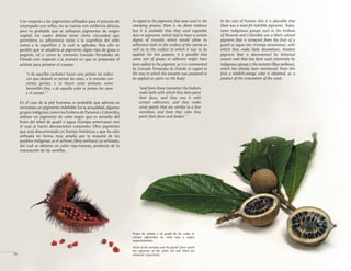 Con respecto a los pigmentos utilizados para el proceso de
estampado con sellos, no se cuenta con evidencia directa,
pero es probable que se utilizaran pigmentos de origen
vegetal, los cuales debían tener cierta viscosidad que
permitiera su adherencia tanto a la superficie del sello
como a la superficie a la cual se aplicaba. Para ello es
posible que se añadiera al pigmento algún tipo de grasa o
pegante, tal y como lo comenta Gonzalo Fernández de
Oviedo con respecto a la manera en que se preparaba el
achiote para pintarse el cuerpo:
"e de aquellos (achiote) hacen una pelotas los indios
con que después se pintan las caras, e lo mezclan con
ciertas gomas, e se hacen unas pinturas como
bermellón fino, e de aquella color se pintan las caras
y el cuerpo." 1
En el caso de la piel humana, es probable que además se
necesitara un pigmento indeleble.En la actualidad,algunos
grupos indígenas,como los Embera de Panamá y Colombia,
utilizan un pigmento de color negro que es extraído del
fruto del árbol de guatil o jagua (Genipa americana) con
el cual se hacen decoraciones corporales. Otro pigmento
que está documentado en fuentes históricas y que ha sido
utilizado en forma muy amplia por la mayoría de los
pueblos indígenas,es el achiote,(Bixa orellana) ya señalado,
del cual se obtiene un color rojo-naranja, producto de la
maceración de las semillas.
In regard to the pigments that were used in the
stamping process, there is no direct evidence
but it is probable that they used vegetable
dyes or pigments, which had to have a certain
degree of viscosity which would allow its
adherence both to the surface of the stamp as
well as to the surface to which it was to be
applied. For this purpose, it is possible that
some sort of grease or adhesive might have
been added to the pigment, as it is commented
by Gonzalo Fernandez de Oviedo in regard to
the way in which the annatto was prepared to
be applied as paint on the body:
"and from those (annatto) the Indians
make balls with which they later paint
their faces, and they mix it with
certain adhesives, and they make
some paints that are similar to a fine
vermilion, and from that color they
paint their faces and bodies." 1
In the case of human skin it is plausible that
there was a need for indelible pigments. Today,
some indigenous groups such as the Embera
of Panama and Colombia use a black colored
pigment that is extracted from the fruit of a
guatil or jagua tree (Genipa americana), with
which they make body decorations. Another
pigment that is documented by historical
sources and that has been used extensively by
indigenous groups is the annatto (Bixa orellana),
which has already been mentioned. From this
fruit a reddish-orange color is obtained, as a
product of the maceration of the seeds.
Frutos de achiote y de guaitil de los cuales se
extraen pigmentos de color rojo y negro,
respectivamente.
Fruits of the annatto and the guaitil, from which
the pigments of the colors red and black are
extracted, respectively.
10
 