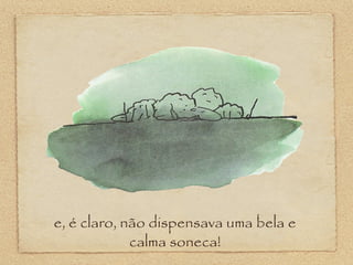 e, é claro, não dispensava uma bela e
calma soneca!