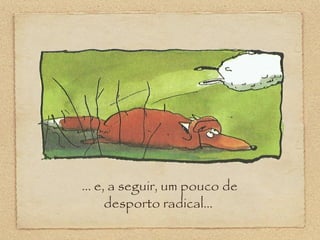 ... e, a seguir, um pouco de
desporto radical...