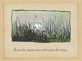 À tarde, mais uma refeição de erva...