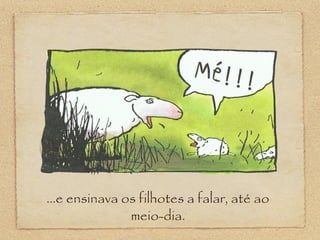 ...e ensinava os filhotes a falar, até ao
meio-dia.