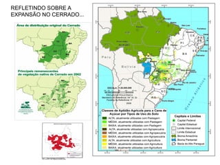 REFLETINDO SOBRE A
EXPANSÃO NO CERRADO...
 