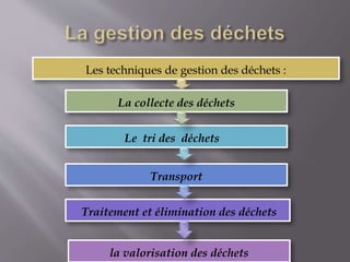 Les techniques de gestion des déchets : 
La collecte des déchets 
: 
Le tri des déchets 
Transport 
Traitement et élimination des déchets 
la valorisation des déchets 
 