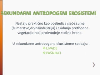 Nastaju praktično kao posljedica sječe šuma
(šumarstvo,drvnaindustrija) i skidanja prethodne
vegetacije radi proizvodnje stočne hrane.
 