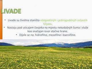 • Livade su životna staništa višegodišnjih i jednogodišnjih zeljastih
biljaka.
• Nastaju pod uticajem čovjeka na mjestu nekadašnjih šuma i služe
kao značajan izvor stočne hrane.
• Dijele se na: hidrofilne, mezofilne i kserofilne.
 