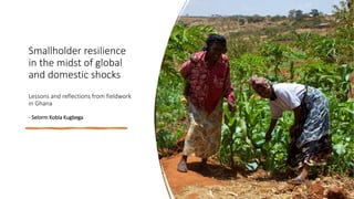 Smallholder resilience
in the midst of global
and domestic shocks
Lessons and reflections from fieldwork
in Ghana
- Selorm Kobla Kugbega
 