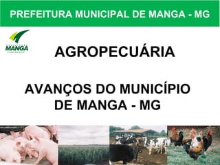 PREFEITURA MUNICIPAL DE MANGA - MG



       AGROPECUÁRIA

  AVANÇOS DO MUNICÍPIO
     DE MANGA - MG
 