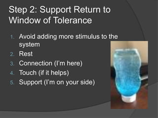 Step 2: Support Return to
Window of Tolerance
1. Avoid adding more stimulus to the
system
2. Rest
3. Connection (I’m here)
4. Touch (if it helps)
5. Support (I’m on your side)
 