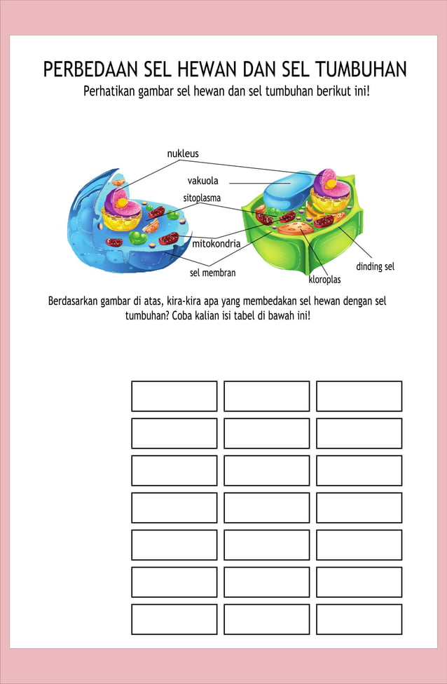 SEL PERTEMUAN 1_2.docx MODUL PEMBELAJARAN | DOCX