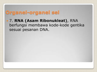 Organel-organel sel
 7. RNA (Asam Ribonukleat), RNA
berfungsi membawa kode-kode gentika
sesuai pesanan DNA.
 