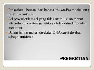 PENGERTIAN
 Prokariota : berasal dari bahasa Yunani,Pro = sebelum ;
karyon = nukleus.
 Sel prokariotik = sel yang tidak memiliki membran
inti, sehingga materi genetiknya tidak dilindungi oleh
membran
 Dalam hal ini materi disekitar DNA dapat disebut
sebagai nukleoid
 