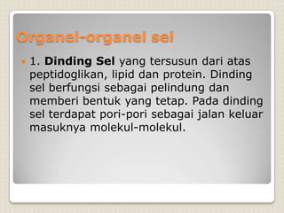 Organel-organel sel
 1. Dinding Sel yang tersusun dari atas
peptidoglikan, lipid dan protein. Dinding
sel berfungsi sebagai pelindung dan
memberi bentuk yang tetap. Pada dinding
sel terdapat pori-pori sebagai jalan keluar
masuknya molekul-molekul.
 