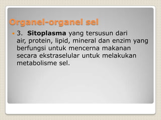 Organel-organel sel
 3. Sitoplasma yang tersusun dari
air, protein, lipid, mineral dan enzim yang
berfungsi untuk mencerna makanan
secara ekstraselular untuk melakukan
metabolisme sel.
 