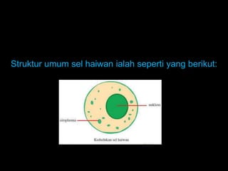 Struktur umum sel haiwan ialah seperti yang berikut:
 