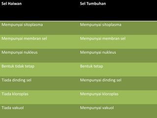 Sel Haiwan Sel Tumbuhan
Mempunyai sitoplasma Mempunyai sitoplasma
Mempunyai membran sel Mempunyai membran sel
Mempunyai nukleus Mempunyai nukleus
Bentuk tidak tetap Bentuk tetap
Tiada dinding sel Mempunyai dinding sel
Tiada kloroplas Mempunyai kloroplas
Tiada vakuol Mempunyai vakuol
 