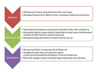 Nukleus
• Mempunyai struktur yang berbentuk sfera atau bujur.
• Mengawal keseluruhan aktiviti sel dan membawa maklumat perwarisan.
Membran Sel
• Menyelaputi protoplasma yang terdiri daripada nukleus dan sitoplasma.
• Merupakan lapisan separa telap di sekeliling sel yang hanya membenarkan
molekul-molekul tertentu sahaja melaluinya.
• Mengawal pergerakan bahan ke dalam dan ke luar sel.
Sitoplasma
• Mempunyai bahan menyerupai jeli di dalam sel.
• Terdapat struktur halus sel yang lain seperti
protein,lemak,karbohidrat,dan garam mineral di dalamnya.
• Bertindak sebagai medium (tempat) bagi tindak balas kimia berlaku.
 