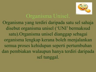 Organisma Unisel.
Organisma yang terdiri daripada satu sel sahaja
disebut organisma unisel (‘UNI’ bermaksud
satu).Organisma unisel dianggap sebagai
organisma lengkap kerana boleh menjalankan
semua proses kehidupan seperti pertumbuhan
dan pembiakan walaupun hanya terdiri daripada
sel tunggal.
 