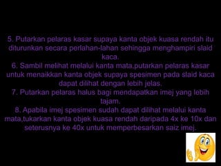 5. Putarkan pelaras kasar supaya kanta objek kuasa rendah itu
diturunkan secara perlahan-lahan sehingga menghampiri slaid
kaca.
6. Sambil melihat melalui kanta mata,putarkan pelaras kasar
untuk menaikkan kanta objek supaya spesimen pada slaid kaca
dapat dilihat dengan lebih jelas.
7. Putarkan pelaras halus bagi mendapatkan imej yang lebih
tajam.
8. Apabila imej spesimen sudah dapat dilihat melalui kanta
mata,tukarkan kanta objek kuasa rendah daripada 4x ke 10x dan
seterusnya ke 40x untuk memperbesarkan saiz imej.
 