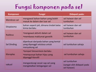 Fungsi komponen pada sel
  Komponen                    Fungsi                          Didapati pada:
              mengawal bahan-bahan yang boleh           sel haiwan dan sel
Membran sel
              masuk ke dalam dan luar sel               tumbuhan
              bahan seperti jeli, dimana tindak balas   sel haiwan dan sel
Sitoplasma
              kimia berlaku                             tumbuhan

              •mengawal aktiviti dalam sel              sel haiwan dan sel
Nukleus
              •membawa maklumat genetik                 tumbuhan

              diperbuat daripada bahan yang kental
Sel Dinding   yang dipanggil selulosa untuk             sel tumbuhan sahaja
              menyokong sel
              •tempat fotosentesis berlaku
Kloroplas     •mempunyai bahan hijau yang               sel tumbuhan sahaja
              dipanggil klorofil
                                                        sel tumbuhan
              mengandungi cecair sap sel yang
vakuol                                                  (sangat sikit didapati pada
              mengekalkan ketegangan sel
                                                        sel haiwan)
 