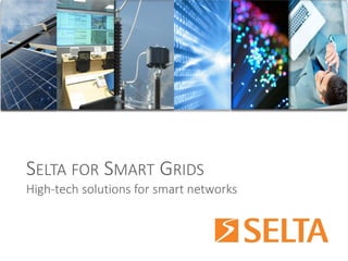 SELTAFORSMARTGRIDS 
High-tech solutions for smart networks  