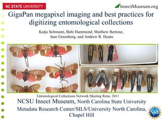 GigaPan megapixel imaging and best practices for digitizing entomological collections NCSU Insect Museum,  North Carolina State University Metadata Research Center/SILS/University North Carolina, Chapel Hill NC STATE  UNIVERSITY Entomological Collections Network Meeting Reno, 2011 Katja Seltmann, Babi Hammond, Matthew Bertone,  Jane Greenberg, and Andrew R. Deans 