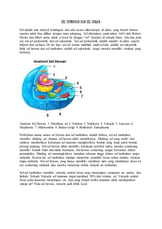 SEL TUMBUHAN DAN SEL HEWAN 
Sel adalah unit terkecil kehidupan dan ada secara mikroskopis di alam, yang berarti bahwa 
mereka tidak bisa dilihat dengan mata telanjang. Sel ditemukan pada tahun 1665 oleh Robert 
Hooke dan diberi nama untuk si kecil ini dengan “sel” (kamar) di sebuah biara. Ada dua jenis 
sel, sel-sel prokariotik dan sel eukariotik. Sel-sel prokariotik adalah mandiri di alam, seperti 
bakteri dan archaea. Di sisi lain, sel-sel semua makhluk multi-selular adalah sel eukariotik. 
Baik sel hewan dan sel tumbuhan adalah sel eukariotik, tetapi mereka memiliki struktur yang 
berbeda. 
Anatomi Sel Hewan. 1. Membran sel 2. Nukleus 3. Nukleous 4. Vakuola 5. Lisosom 6. 
Sitoplasma 7. Mitokondria 8. Badan Golgi 9. Retikulum Endoplasma 
Perbedaan utama antara sel hewan dan sel tumbuhan adalah bahwa, sel-sel tumbuhan 
memiliki dinding sel, dimana sel hewan tidak memilikinya. Dinding sel yang terdiri dari 
selulosa memberikan kekakuan sel tanaman menghasilkan bentuk yang tetap yakni bentuk 
persegi panjang. Sel-sel hewan tidak memiliki kekakuan tersebut maka, mereka cenderung 
memiliki bentuk bulat dan tidak beraturan. Sel hewan cenderung sangat bervariasi dalam 
penampilan. Dinding sel memungkinkan menahan tekanan tinggi dalam sel tumbuhan tanpa 
meledak. Karena ini, sel tumbuhan mampu menerima sejumlah besar cairan melalui osmosis 
tanpa meledak. Sel-sel hewan, yang hanya memiliki membran tipis yang membatasi akses ke 
sel, cenderung meledak jika mereka menyerap terlalu banyak air tambahan. 
Sel-sel tumbuhan memiliki vakuola sentral besar yang menyimpan campuran air, nutrisi, dan 
limbah. Sebuah Vakuola sel tanaman dapat membuat 90% dari volume sel. Vakuola sentral 
besar pada dasarnya menyimpan air. Apa yang terjadi ketika tanaman tidak mendapatkan 
cukup air? Pada sel hewan, vakuola jauh lebih kecil. 
 