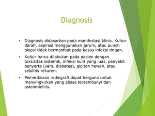 Selulitis | PPTX