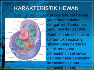 Karakteristik sel Hewan
yang membedakan
dengan sel Tumbuhan
yaitu memiliki Sentriol.
Sentriol pada sel hewan
berbentuk sepasang
silinder yang berperan
untuk mengatur
pembelahan sel hewan
dan mengatur pemisahan
kromosom selama
pembelahan sel.
 