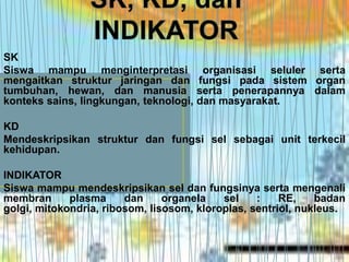 SK
Siswa mampu menginterpretasi             organisasi seluler serta
mengaitkan struktur jaringan dan        fungsi pada sistem organ
tumbuhan, hewan, dan manusia            serta penerapannya dalam
konteks sains, lingkungan, teknologi,   dan masyarakat.

KD
Mendeskripsikan struktur dan fungsi sel sebagai unit terkecil
kehidupan.

INDIKATOR
Siswa mampu mendeskripsikan sel dan fungsinya serta mengenali
membran      plasma     dan     organela   sel    :    RE,    badan
golgi, mitokondria, ribosom, lisosom, kloroplas, sentriol, nukleus.
 