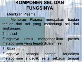 1. Membran Plasma
      Membran Plasma merupakan bagian
terluar dari sel yang melindungi sel dari
lingkungan.
2. Inti sel
Fungsinya untuk mengendalikan proses
metabolisme yang terjadi didalam sel.
3. Sitoplasma
Fungsinya     sebagai     tempat     terjadinya
metabolisme sitosolik serta sebagai tempat
 