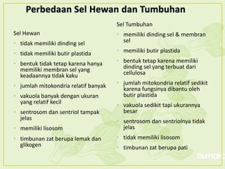 Sel Tumbuhan
Sel Hewan                             • memiliki dinding sel & membran
• tidak memiliki dinding sel            sel

• tidak memiliki butir plastida       • memiliki butir plastida

• bentuk tidak tetap karena hanya     • bentuk tetap karena memiliki
  memiliki membran sel yang             dinding sel yang terbuat dari
  keadaannya tidak kaku                 cellulosa

• jumlah mitokondria relatif banyak   • jumlah mitokondria relatif sedikit
                                        karena fungsinya dibantu oleh
• vakuola banyak dengan ukuran          butir plastida
  yang relatif kecil
                                      • vakuola sedikit tapi ukurannya
• sentrosom dan sentriol tampak         besar
  jelas
                                      • sentrosom dan sentriolnya tidak
• memiliki lisosom                      jelas
• timbunan zat berupa lemak dan       • tidak memiliki lisosom
  glikogen                            • timbunan zat berupa pati
 