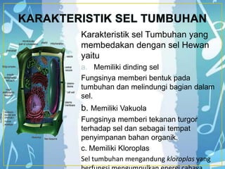 Karakteristik sel Tumbuhan yang
membedakan dengan sel Hewan
yaitu
a. Memiliki dinding sel
Fungsinya memberi bentuk pada
tumbuhan dan melindungi bagian dalam
sel.
b. Memiliki Vakuola
Fungsinya memberi tekanan turgor
terhadap sel dan sebagai tempat
penyimpanan bahan organik.
c. Memiliki Kloroplas
Sel tumbuhan mengandung kloroplas yang
 