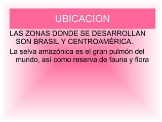 LAS ZONAS DONDE SE DESARROLLAN SON BRASIL Y CENTROAMÉRICA. La selva amazónica es el gran pulmón del mundo, así como reserva de fauna y flora UBICACION