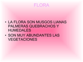 FLORA LA FLORA SON MUSGOS LIANAS PALMERAS QUEBRACHOS Y HUMEDALES  SON MUY ABUNDANTES LAS VEGETACIONES 