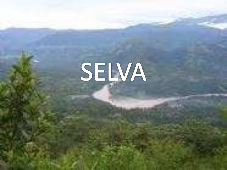 Selva