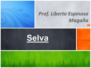 Prof. Liberto Espinosa
                Magaña


Selva
 