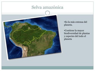 Selva amazónica


                  •Es la más extensa del
                  planeta.

                  •Contiene la mayor
                  biodiversidad de plantas
                  y especies del todo el
                  planeta
 