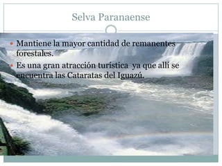 Selva Paranaense

 Mantiene la mayor cantidad de remanentes
  forestales.
 Es una gran atracción turística ya que allí se
  encuentra las Cataratas del Iguazú.
 