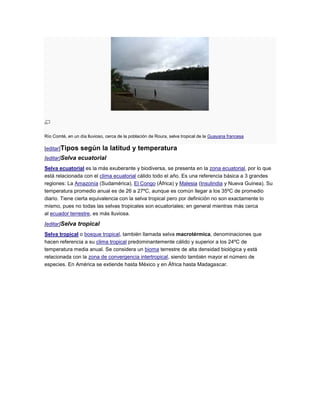 Río Comté, en un día lluvioso, cerca de la población de Roura, selva tropical de la Guayana francesa

[editar]Tipos     según la latitud y temperatura
[editar]Selva ecuatorial
Selva ecuatorial es la más exuberante y biodiversa, se presenta en la zona ecuatorial, por lo que
está relacionada con el clima ecuatorial cálido todo el año. Es una referencia básica a 3 grandes
regiones: La Amazonía (Sudamérica), El Congo (África) y Malesia (Insulindia y Nueva Guinea). Su
temperatura promedio anual es de 26 a 27ºC, aunque es común llegar a los 35ºC de promedio
diario. Tiene cierta equivalencia con la selva tropical pero por definición no son exactamente lo
mismo, pues no todas las selvas tropicales son ecuatoriales; en general mientras más cerca
al ecuador terrestre, es más lluviosa.

[editar]Selva tropical
Selva tropical o bosque tropical, también llamada selva macrotérmica, denominaciones que
hacen referencia a su clima tropical predominantemente cálido y superior a los 24ºC de
temperatura media anual. Se considera un bioma terrestre de alta densidad biológica y está
relacionada con la zona de convergencia intertropical, siendo también mayor el número de
especies. En América se extiende hasta México y en África hasta Madagascar.
 