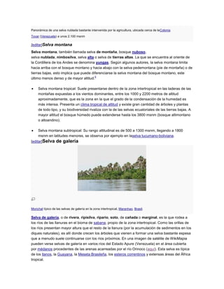 Panorámica de una selva nublada bastante intervenida por la agricultura, ubicada cerca de laColonia
Tovar (Venezuela) a unos 2.100 msnm

[editar]Selva montana
Selva montana, también llamada selva de montaña, bosque nuboso,
selva nublada, nimbosilva, selva alta o selva de tierras altas. La que se encuentra al oriente de
la Cordillera de los Andes se denomina yungas. Según algunos autores, la selva montana limita
hacia arriba con el bosque montano y hacia abajo con la selva pedemontana (pie de montaña) o de
tierras bajas, esto implica que puede diferenciarse la selva montana del bosque montano, este
                                        6
último menos denso y de mayor altitud.

     Selva montana tropical: Suele presentarse dentro de la zona intertropical en las laderas de las
     montañas expuestas a los vientos dominantes, entre los 1000 y 2200 metros de altitud
     aproximadamente, que es la zona en la que el grado de la condensación de la humedad es
     más intensa. Presenta un clima tropical de altitud y existe gran cantidad de árboles y plantas
     de todo tipo, y su biodiversidad rivaliza con la de las selvas ecuatoriales de las tierras bajas. A
     mayor altitud el bosque húmedo puede extenderse hasta los 3800 msnm (bosque altimontano
     o altoandino).

     Selva montana subtropical: Su rango altitudinal es de 500 a 1300 msnm, llegando a 1800
     msnm en latitudes menores, se observa por ejemplo en laselva tucumano-boliviana.
[editar]Selva     de galería




Morichal típico de las selvas de galería en la zona intertropical, Maranhao, Brasil.

Selva de galería, o de rivera, ripisilva, ripario, soto, de cañada o marginal, es la que rodea a
los ríos de las llanuras en el bioma de sabana, propio de la zona intertropical. Como las orillas de
los ríos presentan mayor altura que el resto de la llanura (por la acumulación de sedimentos en los
diques naturales), es allí donde crecen los árboles que vienen a formar una selva bastante espesa
que a menudo suele continuarse con los ríos próximos. En una imagen de satélite de WikiMapia
pueden verse selvas de galería en varios ríos del Estado Apure (Venezuela) en el área cubierta
por médanos procedentes de las arenas acarreadas por el río Orinoco (aquí). Esta selva es típica
de los llanos, la Guayana, la Meseta Brasileña, los esteros correntinos y extensas áreas del África
tropical.
 