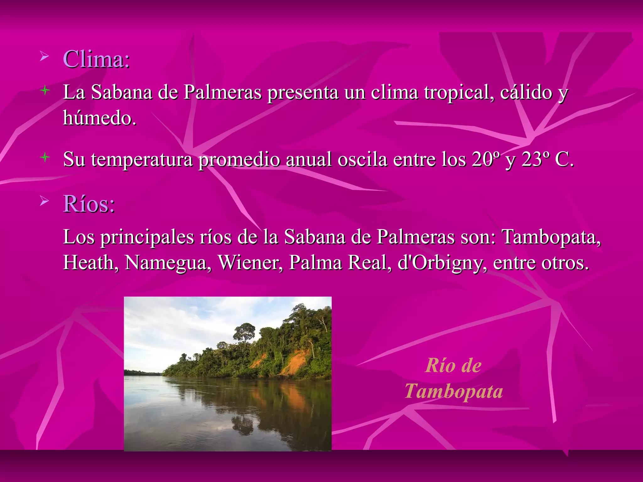    Clima:
   La Sabana de Palmeras presenta un clima tropical, cálido y
    húmedo.
   Su temperatura promedio anual oscila entre los 20º y 23º C.
   Ríos:
    Los principales ríos de la Sabana de Palmeras son: Tambopata,
    Heath, Namegua, Wiener, Palma Real, d'Orbigny, entre otros.



                                             Río de
                                           Tambopata
 