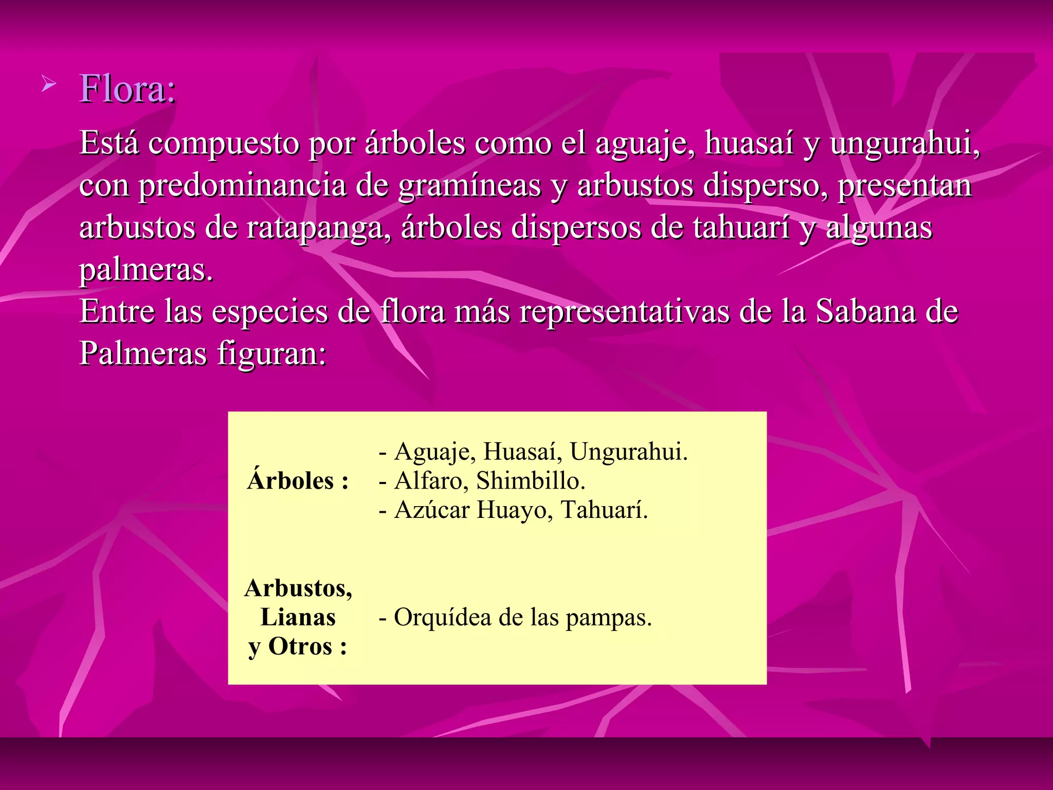    Flora:
    Está compuesto por árboles como el aguaje, huasaí y ungurahui,
    con predominancia de gramíneas y arbustos disperso, presentan
    arbustos de ratapanga, árboles dispersos de tahuarí y algunas
    palmeras.
    Entre las especies de flora más representativas de la Sabana de
    Palmeras figuran:

                           - Aguaje, Huasaí, Ungurahui.
               Árboles :   - Alfaro, Shimbillo.
                           - Azúcar Huayo, Tahuarí.

               Arbustos,
                Lianas   - Orquídea de las pampas.
               y Otros :
 