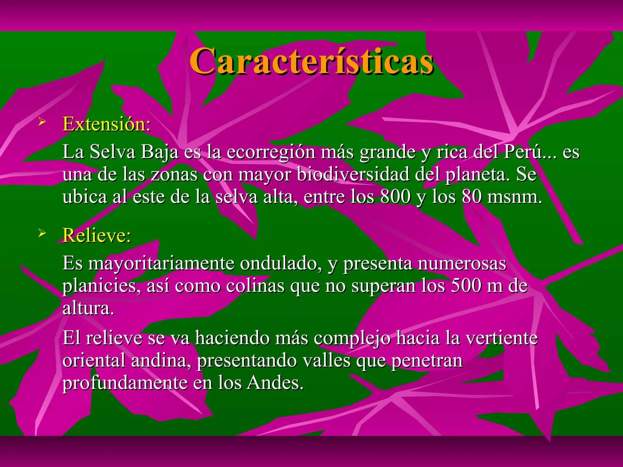 Características
   Extensión:
    La Selva Baja es la ecorregión más grande y rica del Perú... es
    una de las zonas con mayor biodiversidad del planeta. Se
    ubica al este de la selva alta, entre los 800 y los 80 msnm.
   Relieve:
    Es mayoritariamente ondulado, y presenta numerosas
    planicies, así como colinas que no superan los 500 m de
    altura.
    El relieve se va haciendo más complejo hacia la vertiente
    oriental andina, presentando valles que penetran
    profundamente en los Andes.
 