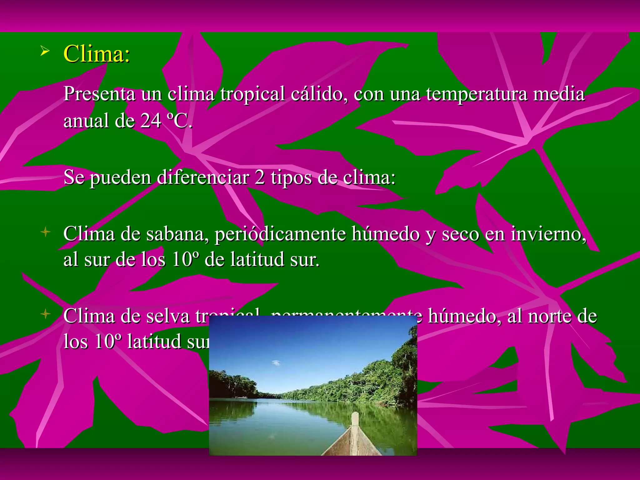    Clima:
    Presenta un clima tropical cálido, con una temperatura media
    anual de 24 ºC.

    Se pueden diferenciar 2 tipos de clima:

   Clima de sabana, periódicamente húmedo y seco en invierno,
    al sur de los 10º de latitud sur.

   Clima de selva tropical, permanentemente húmedo, al norte de
    los 10º latitud sur.
 