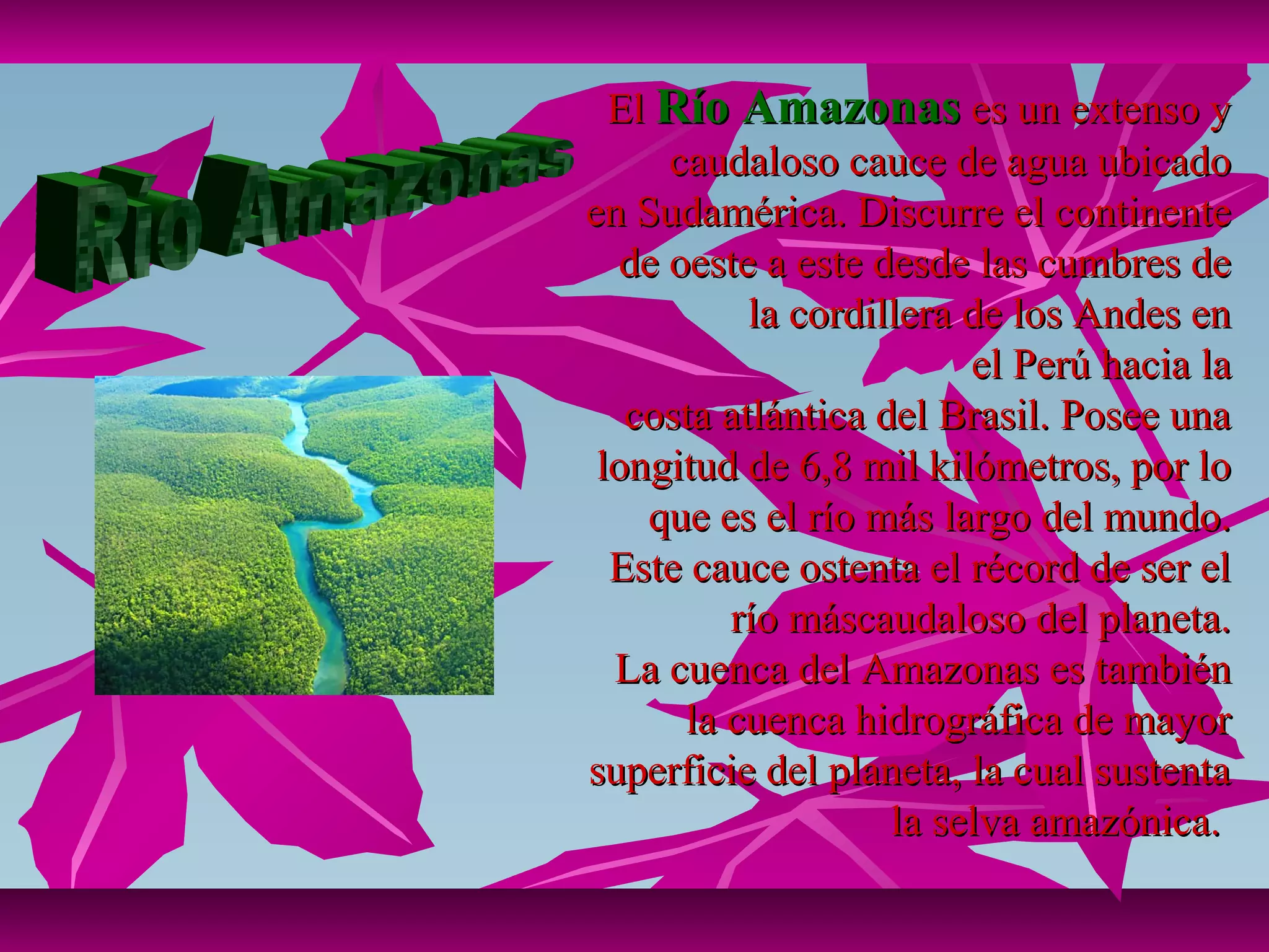El Río Amazonas es un extenso y
     caudaloso cauce de agua ubicado
en Sudamérica. Discurre el continente
  de oeste a este desde las cumbres de
           la cordillera de los Andes en
                         el Perú hacia la
   costa atlántica del Brasil. Posee una
 longitud de 6,8 mil kilómetros, por lo
    que es el río más largo del mundo.
  Este cauce ostenta el récord de ser el
         río máscaudaloso del planeta.
  La cuenca del Amazonas es también
      la cuenca hidrográfica de mayor
superficie del planeta, la cual sustenta
                    la selva amazónica.
 
