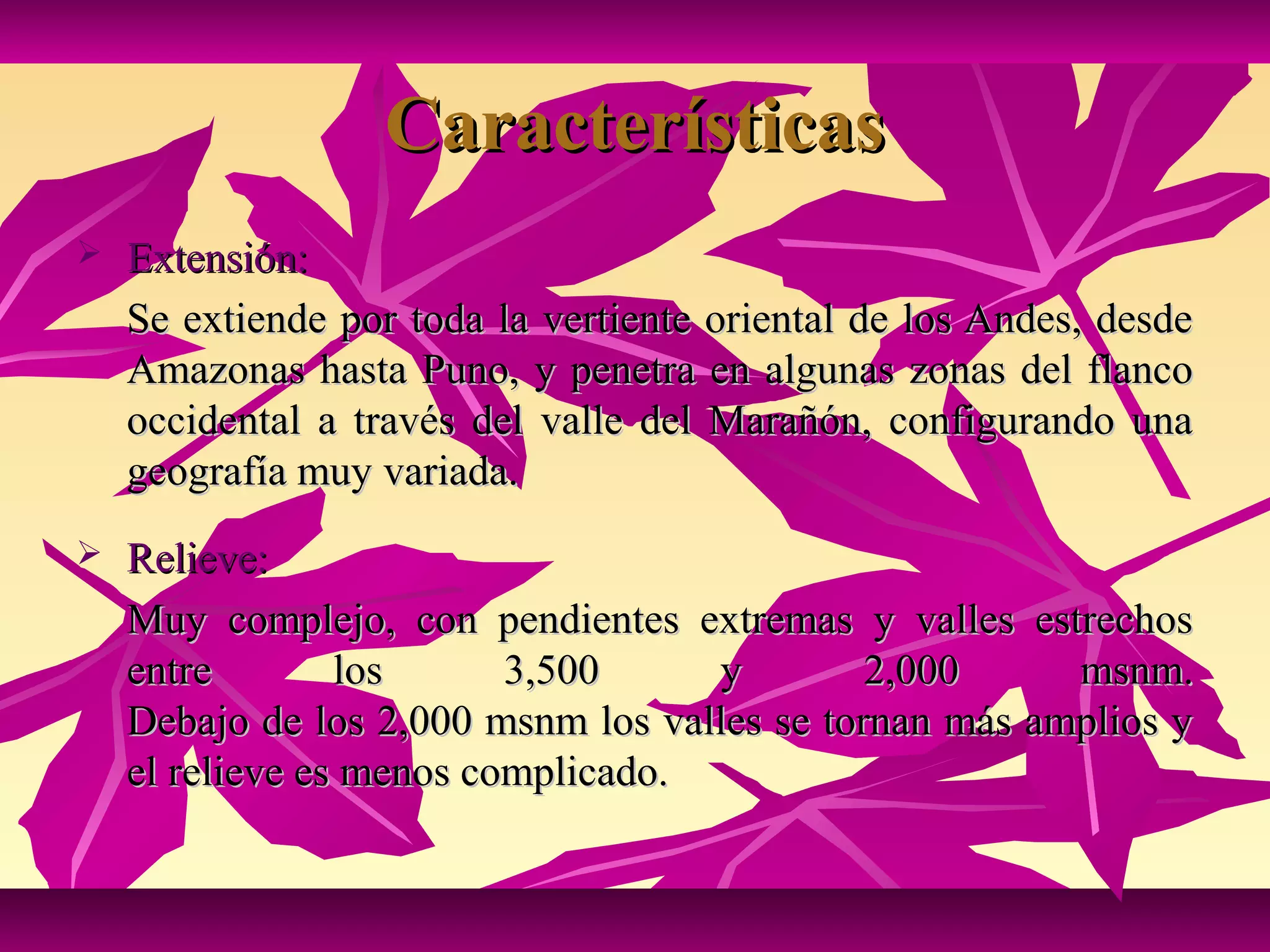 Características
   Extensión:
    Se extiende por toda la vertiente oriental de los Andes, desde
    Amazonas hasta Puno, y penetra en algunas zonas del flanco
    occidental a través del valle del Marañón, configurando una
    geografía muy variada.
   Relieve:
    Muy complejo, con pendientes extremas y valles estrechos
    entre        los      3,500     y         2,000     msnm.
    Debajo de los 2,000 msnm los valles se tornan más amplios y
    el relieve es menos complicado.
 